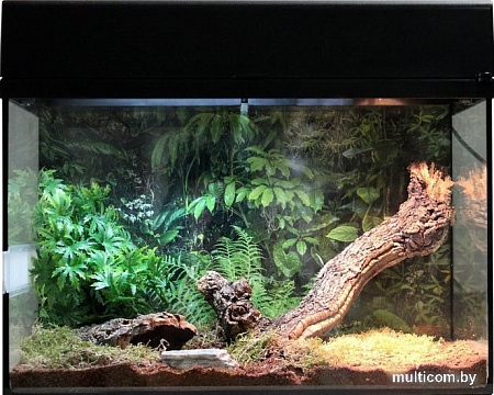 Террариум Lucky Reptile Стартовый комплект для пауков и скорпионов SK50TS-B (черный)