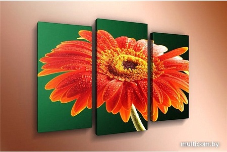 Модульная картина Arthata m-000484 120x80