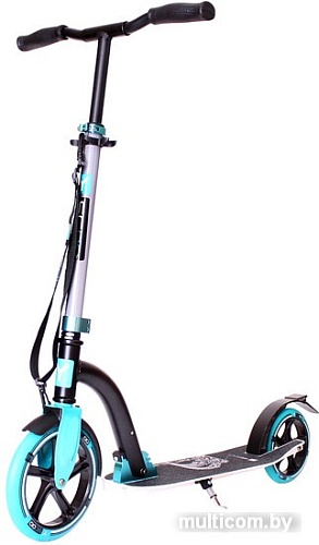 Самокат Y-Scoo RT Slicker Family Design 230 (голубой)