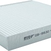 BIG Filter GB-9930