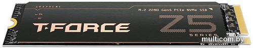 SSD Team T-Force Cardea Z540 2TB TM8FF1002T0C129