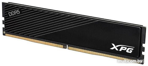 Оперативная память A-Data XPG Hunter 8ГБ DDR5 5200 МГц AX5U5200C388G-SHTBK