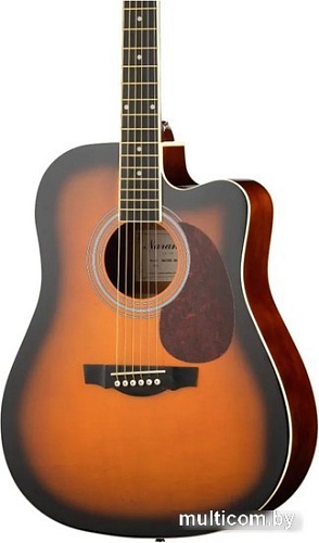 Акустическая гитара Naranda DG120CBS
