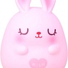 Копилка для денег ILikeGift Sleeping bunny BB1095-8-01 (розовый)