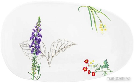 Блюдо Elan Gallery Ботанический атлас 540793