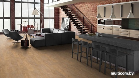 Ламинированный пол Tarkett Navigator Беринг [504415005]