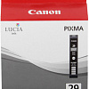 Картридж Canon PGI-29DGY [4870B001]