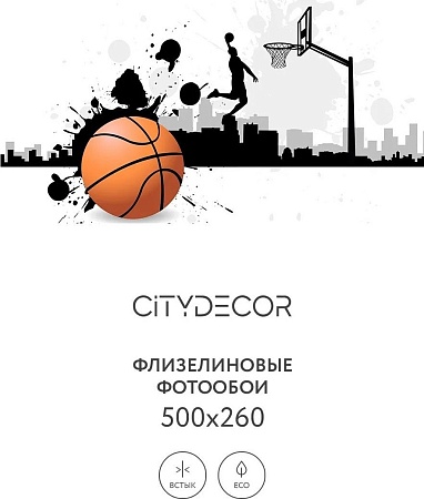 Фотообои Citydecor Детская 390 500x260