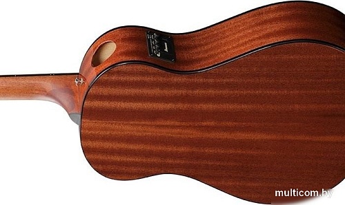 Электроакустическая гитара Ibanez AAM100E NT