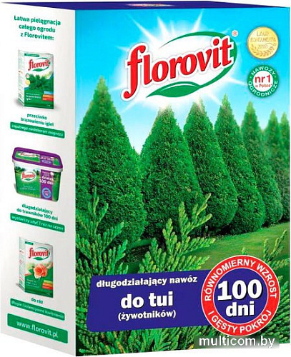 Удобрение Florovit Для туй 100 дней (1 кг, коробка)