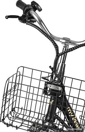 Электровелосипед MyWay Truck 1.0 350 20 (15, черный)