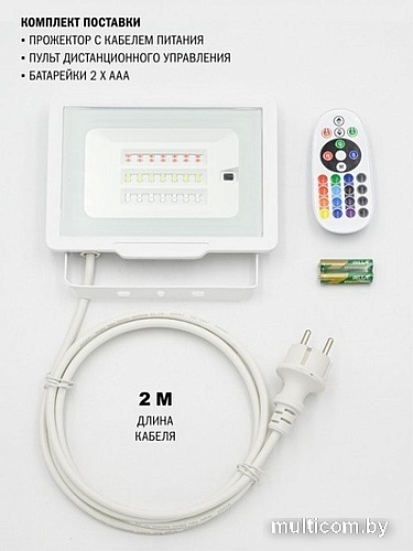 Уличный прожектор ArtStyle CL-E008EI-30W