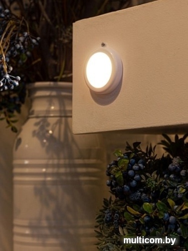 Точечный светильник ArtStyle CL-W2x05W