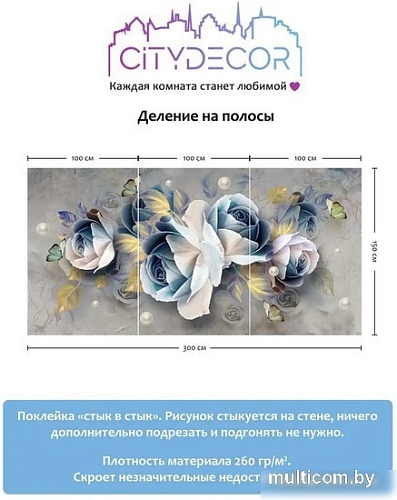 Фотообои Citydecor Абстракция 175 300x150