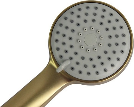 Душевая лейка Ledeme LD003Y (золотой сатин)
