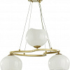 Подвесная люстра Odeon Light Waterlily 4873/3