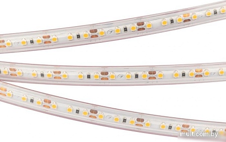 Светодиодная лента Arlight RTW-PS-A120-10mm 12V Warm2700 028547(2)