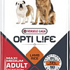 Корм для собак Versele Laga Adult Digestion Medium &amp; Maxi 12.5 кг