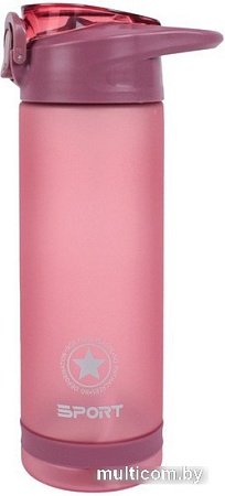 Бутылка для воды Darvish DV-H-1605-2 750мл (розовый)