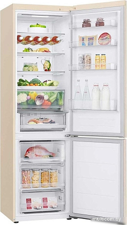 Холодильник LG DoorCooling+ GC-B509FEMW