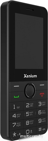 Кнопочный телефон Xenium X240 (черный)