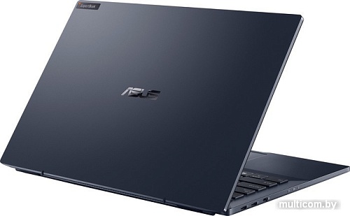 Ноутбук ASUS ExpertBook B5 B5302CBA-EG0244X