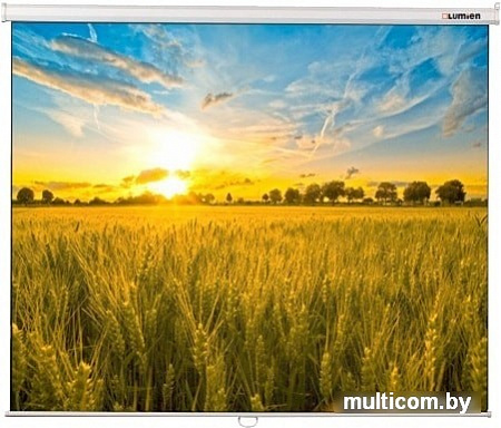 Проекционный экран Lumien Eco Picture 153x272 LEP-100119