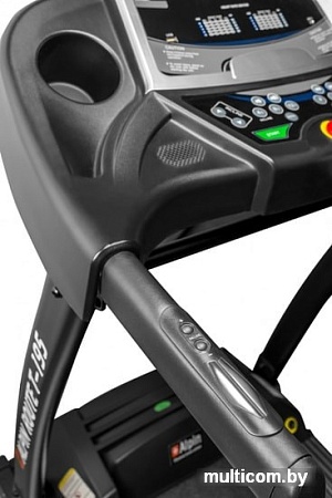 Беговая дорожка Alpin Route