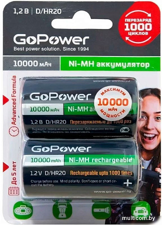Аккумулятор GoPower 00-00018323