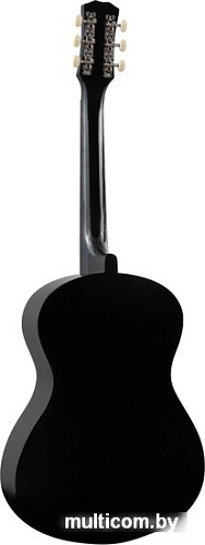 Акустическая гитара Terris TF-3805A BK