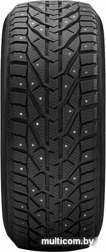 Автомобильные шины Tigar Ice 195/55R16 91T