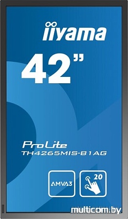 Информационная панель Iiyama ProLite TH4265MIS-B1AG