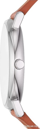 Наручные часы Skagen SKW6903