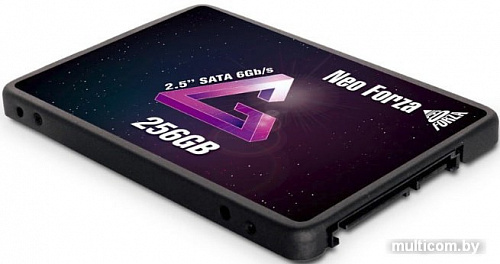 SSD Neo Forza Zion NFS01 256GB NFS011SA356-6007200