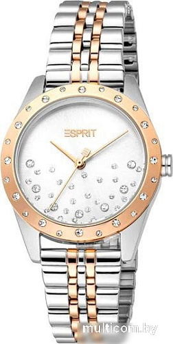 Наручные часы Esprit ES1L405M0075