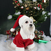 Куртка для животных Puppia Santa PDDF-SC23-RD-M (красный)