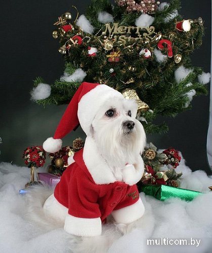 Куртка для животных Puppia Santa PDDF-SC23-RD-M (красный)