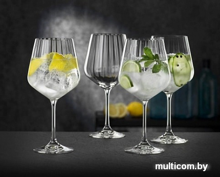 Набор бокалов для джина Nachtmann Gin&Tonic 102892