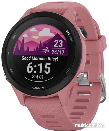 Умные часы Garmin Forerunner 255S 41 мм (пыльная роза/черный)