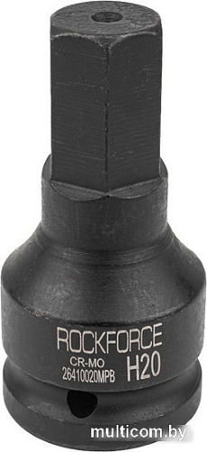 Головка слесарная RockForce RF-26410020MPB