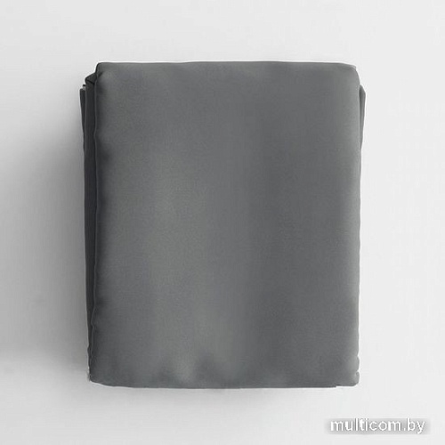 Комплект штор Pasionaria Блэквуд 400x240 (темно-серый)