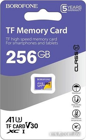 Карта памяти Borofone microSDXC 256GB (без адаптера)