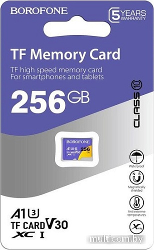 Карта памяти Borofone microSDXC 256GB (без адаптера)