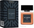 Dilis Parfum Acumen Noir EdP (100 мл)