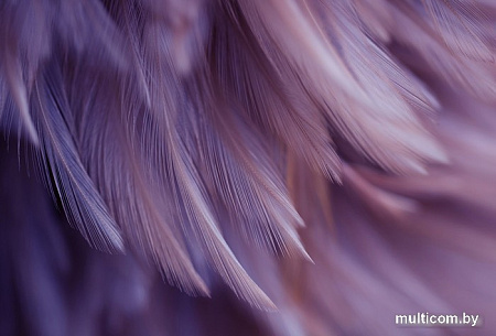 Фотообои Vimala Перья 18 270x400