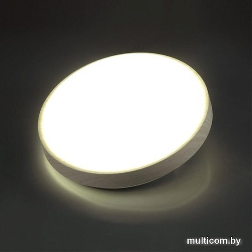 Светильник-тарелка Sonex Losta 7628/EL