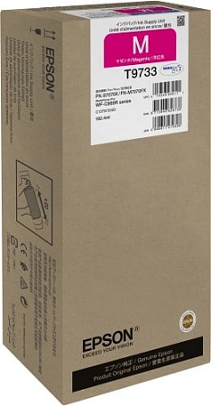 Чернила Epson C13T973300