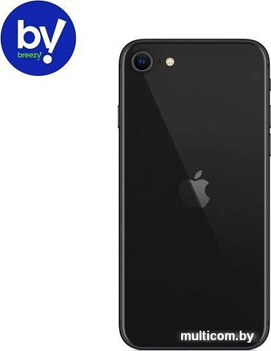 Смартфон Apple iPhone SE 256GB Воcстановленный by Breezy, грейд B (черный)