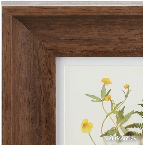 Фоторамка Eglo Renabie 423003