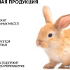 Icon Skin Эмульсия для умывания Pure Sonic Энзимная (150 мл)